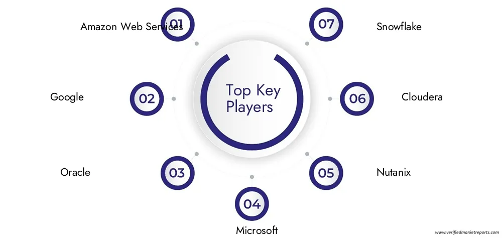 Cloud Data Platform Market Companies