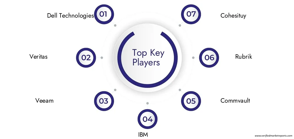 Cloud Data Replication Software Market Companies