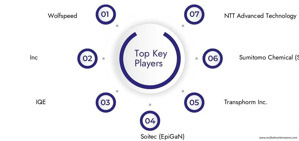 GaN on SiC Epitaxy (EPI) Wafers Market Companies
